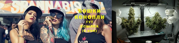 шишки Чекалин